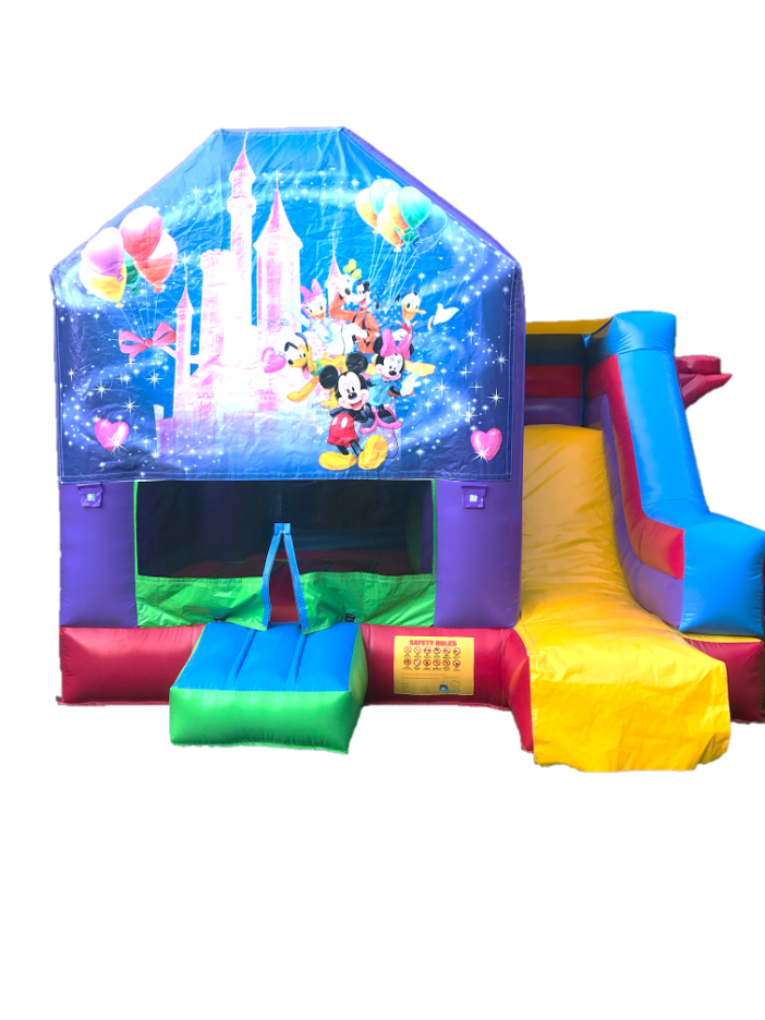 Deluxe Disney Combo Castle
